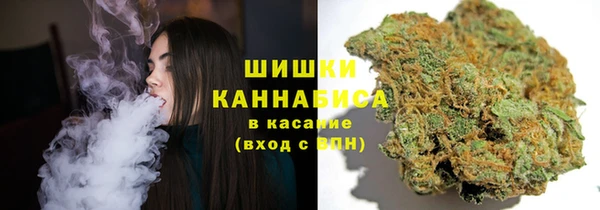 молекула духа Майский