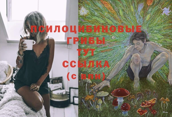 каннабис Магас