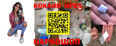 индика Заводоуковск