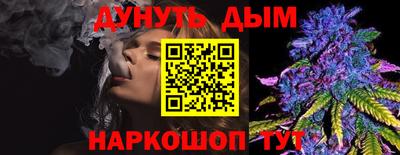индика Заводоуковск