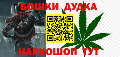 индика Заводоуковск