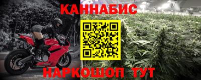 индика Заводоуковск