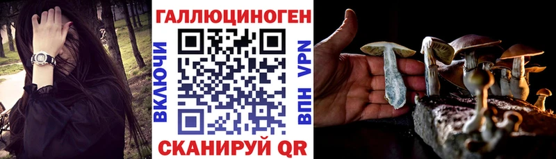 Псилоцибиновые грибы Psilocybe  хочу   Красноуфимск 