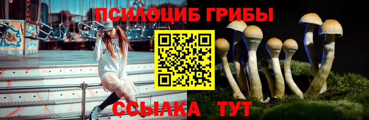 Галлюциногенные грибы мицелий Красноуфимск